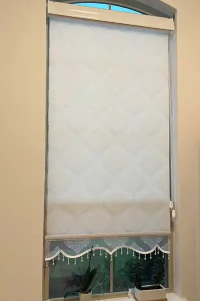 Dual Mechanism Shades 4