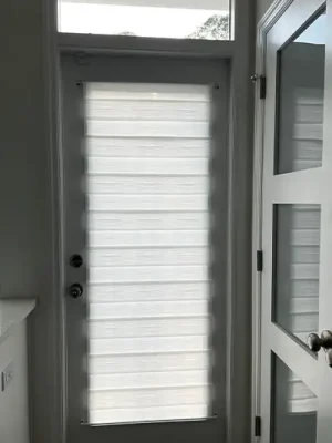 zebra 3