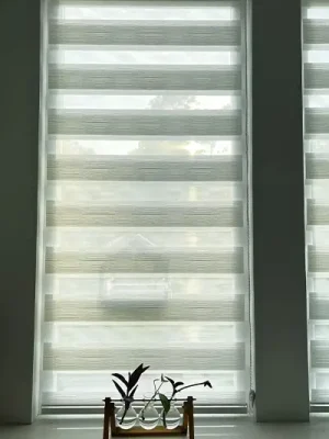 zebra 4