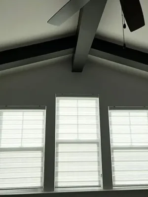 zebra 6